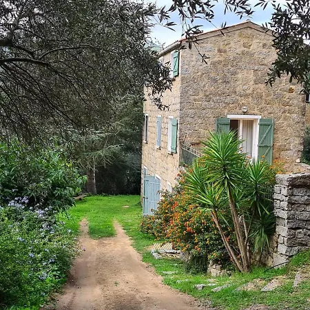 Maison De Caractere Avec Piscine *
